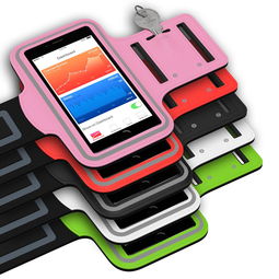 智能体育设备用户行为分析，智能体育设施