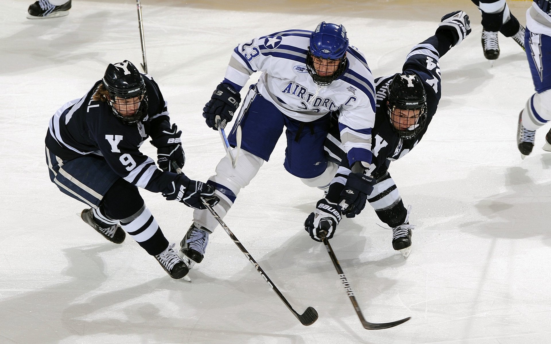 智能体育设备用户行为分析，智能体育设施